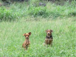 Visite de la petite cousine !